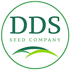 20240719 DDS Seed Logo 150 pxl 1-5x1-5.png