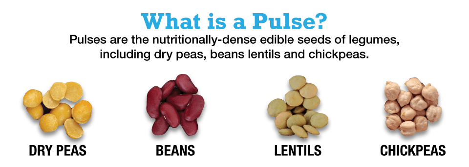 what-is-a-pulse-usa-pulses