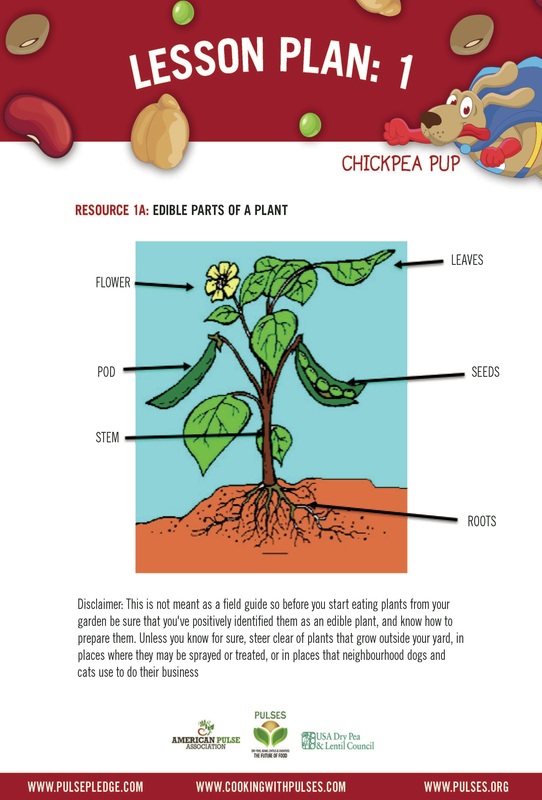 On the Pulse: Plant Organization – The Importance of an