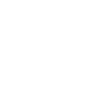 Pork