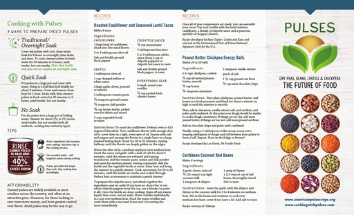 Pulse Brochure 2015 1002b2