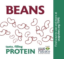 USAPulses Sticker CAN 2019