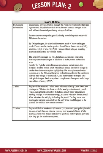 Pulse Curriculum Lesson 2 – Grade 4 page 2