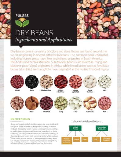 Pulses – Dry Beans