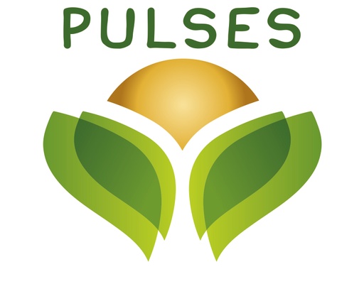 Pulse Brand Logo
