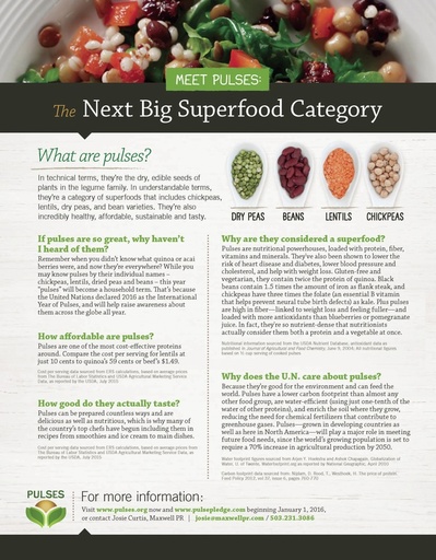 Meet Pulses: The Next Big Superfood Category – Infographic (English)