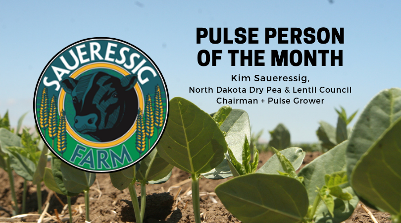 Pulse Person of the Month: Kim Saueressig, North Dakota Dry Pea &#038; Lentil Council Chairman + Pulse Grower