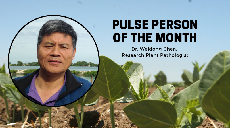 Pulse Person of the Month: Dr. Weidong Chen, Researcher