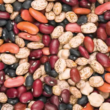 A Boom Time for the Bean Industry