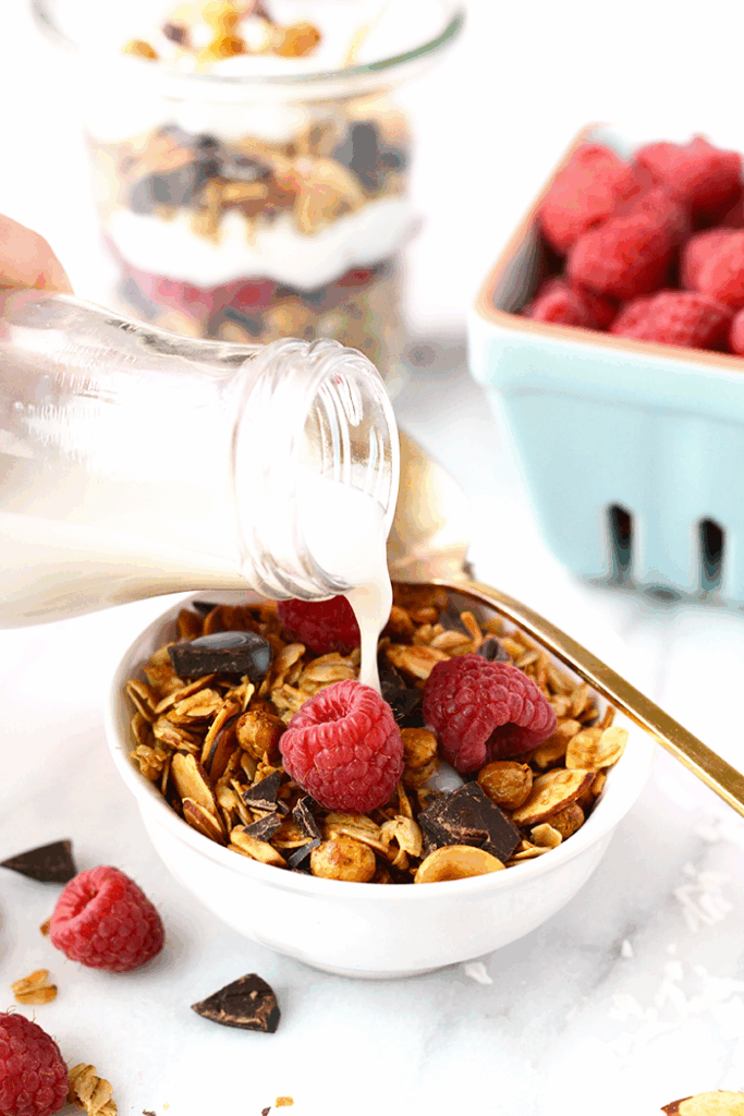 Chocolate Coconut Chickpea Granola