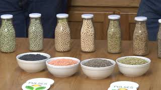What are Pulses?