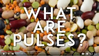 What are Pulses?