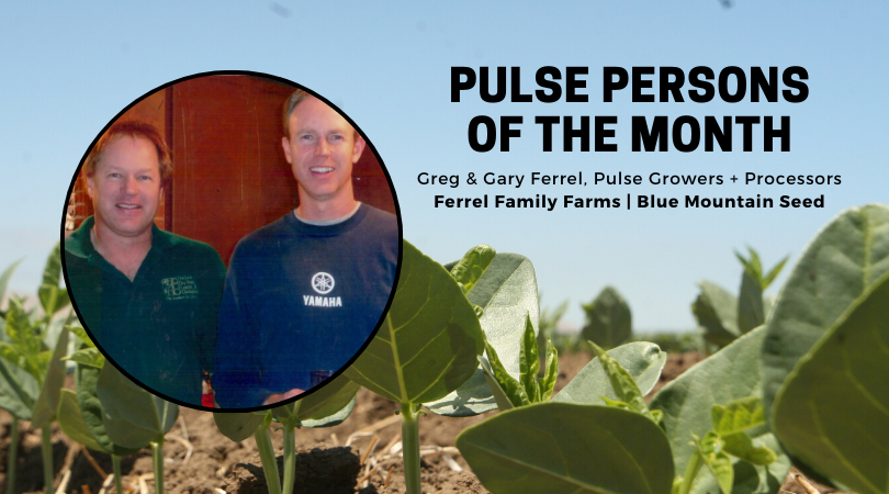 Pulse Persons of the Month: Greg and Gary Ferrel, Washington Pulse Growers + Processors