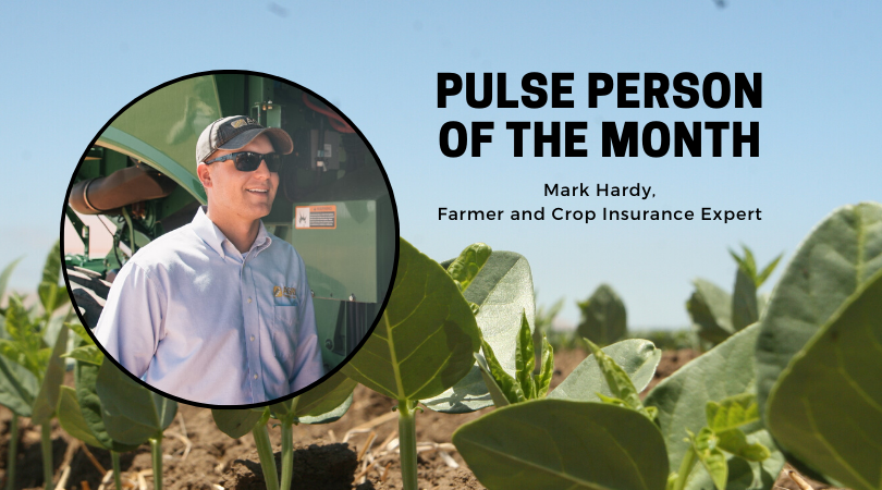 Pulse Person of the Month: Mark Hardy, North Dakota Farmer + Crop Insurance Expert
