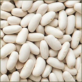 Great Northern Beans