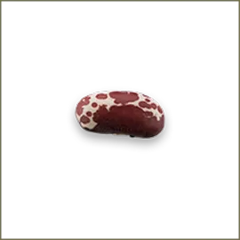Jacob's Cattle Trout Beans