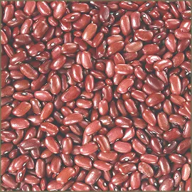 Light Red Kidney Beans