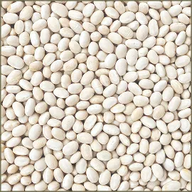 White Navy Beans