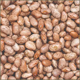 Pinto Beans