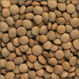 Red Lentils (Whole)