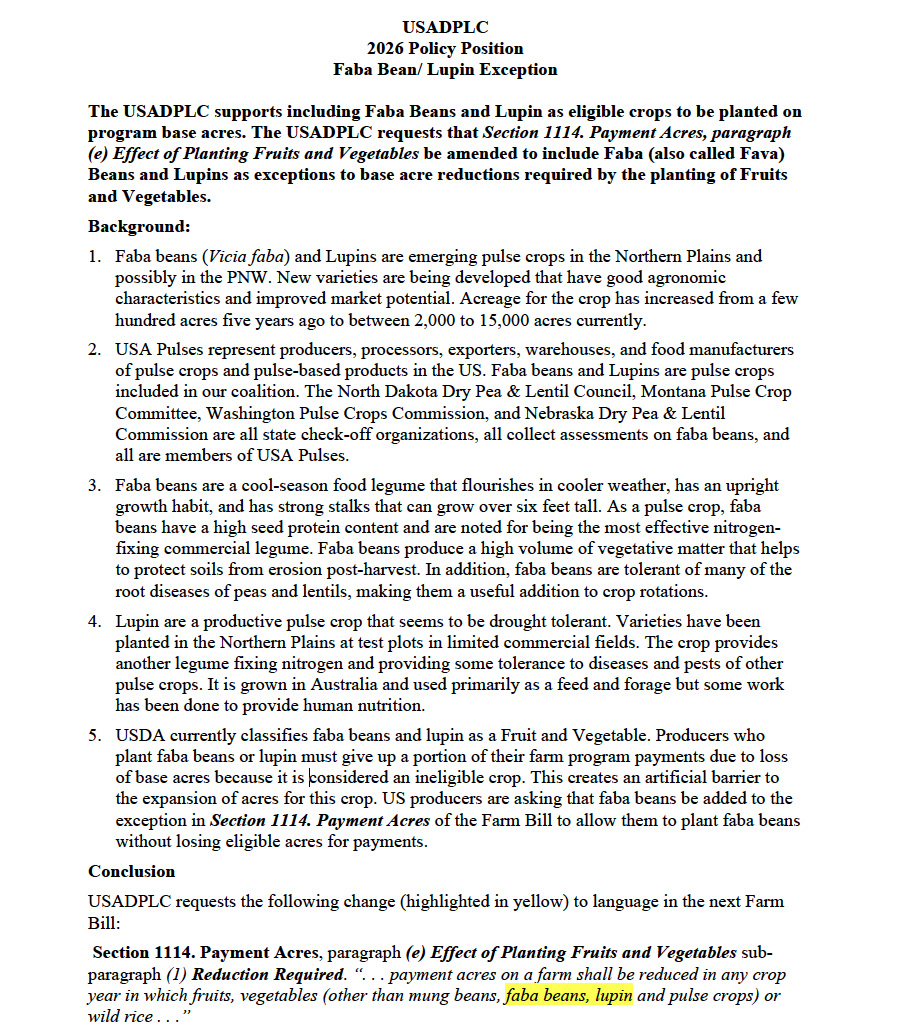 Ícone personalizado