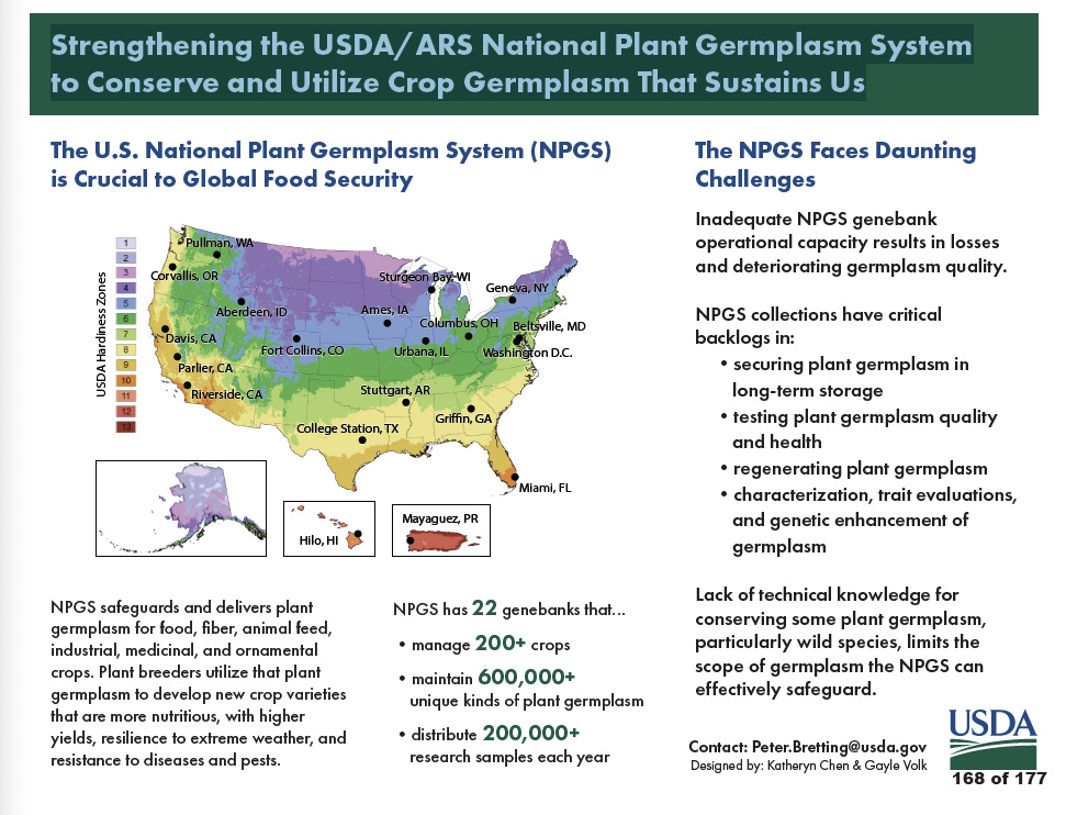 Ícone personalizado