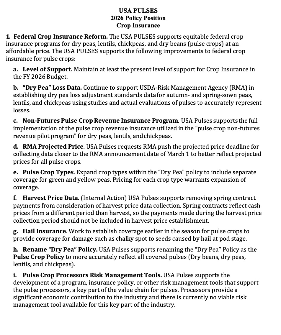 Ícone personalizado