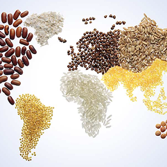 Trade Barrier Mitigation