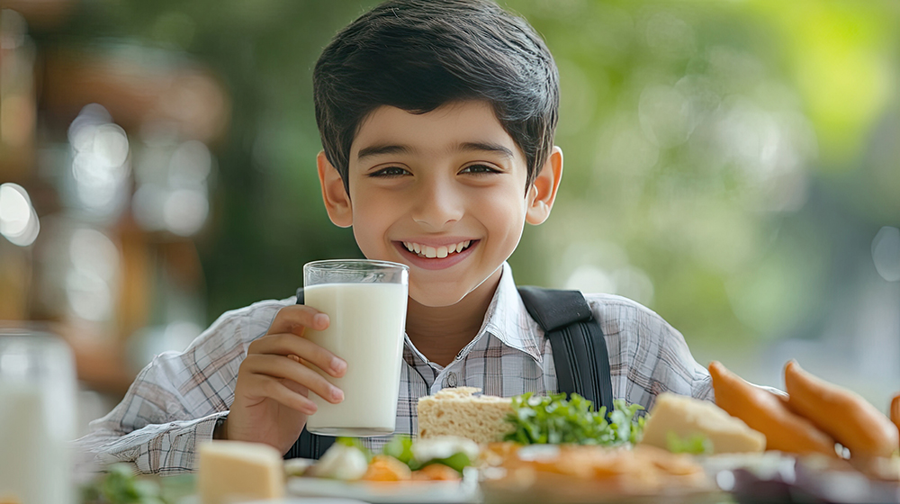 Pulse-Based Milks in School Meals: What the Industry Should Know