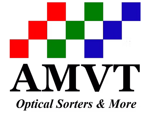 AMVT LLC