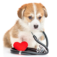 Heart Health