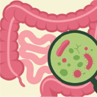 Gut Microbiome